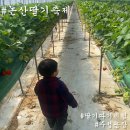 주성농장 이미지