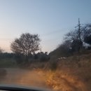 남해하이맘키즈블랙 이미지