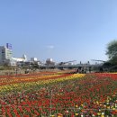 무심천한우