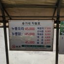 송가네 오리 이미지