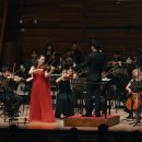 대관령야외공연장 이미지