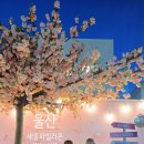 오픈파빌리온 | 울산 간절곶 새울파빌리온 방탈출 체험 + 핑크 포토존 봄나들이 후기