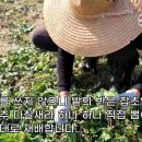 기린약방