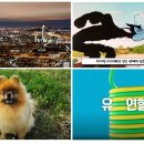 현대제철로 이미지