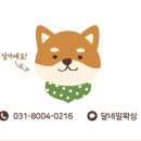 달네일 - 군산시 | 달네일