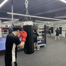 유타복싱클럽 이미지