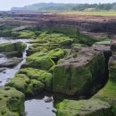 해안로1 이미지