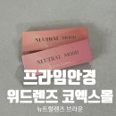 프라임안경콘택트 이미지