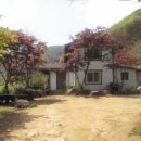 산속의 아침 이미지