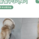 석촌호수동물병원