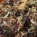 100-1-000049 이미지