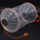 피라미다 이미지