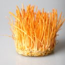 순한의원 이미지