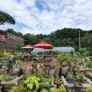 우리한우식당 이미지