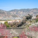 봄 - 성남시 수정구 수정남로 57 | 봄