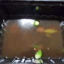 신다방 - 창원시 마산회원구 | 신다방