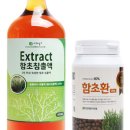 함초닷컴