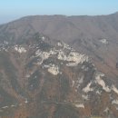 표충로 Daum카페