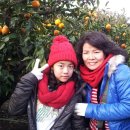 정우네농장 이미지