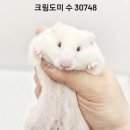 와우펫앤쥬 김해점 이미지