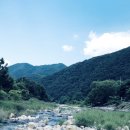 포레스트캐빈앤캠프 이미지