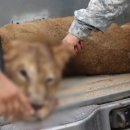 고령목장 이미지