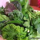 정통쌈밥 이미지