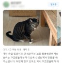 양덕동물병원 이미지