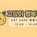 고양이 행복구역 이미지