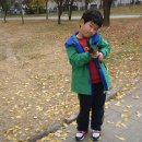 중곡공원 Daum카페