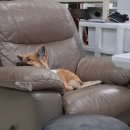 씨유 사상유통단지점 | 효녀와 불효녀의 경계에 있는 사람