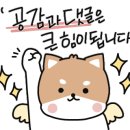 햇님김밥천국
