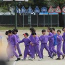 (학교)강릉초 이미지