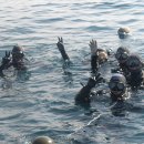 행복한해적 이미지