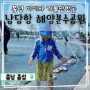 남당항 해양분수공원 | 가족과 함께 여름 물놀이. 홍성 남당항 해양분수공원 후기