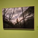 미술전시: 더 글로리어스 월드 2 사라져 가는 서식지 /마르코 가이오티 (충무아트센터 갤러리 신당) 이미지