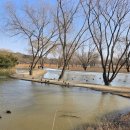 궁남지 그네 #2 | 부여 궁남지 아이랑 가볼만한곳 연꽃 연못 포룡정 후기