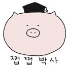 국수나무KNK