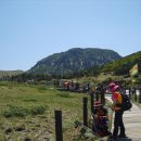 우리고장의 자연유산에 대하여(World Natural Heritage: Jeju Volcanic Island and Lava Tubes) 이미지