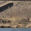 우곡중학교 | 이런 게 있었다고? 독수리 식당 후기 (feat. 고령)