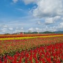 화강펜션 이미지