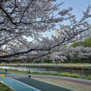 차연농산