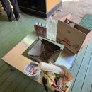 비랜드( B-Land) | 수영장 있는 포천 자일랜드 캠핑장 글램핑 B구역 내돈내산 후기