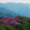 밝은동산 이미지