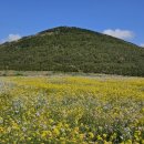 표선면-3 이미지