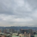 아지나라 이미지