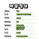 2호선 수영역 이미지