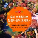햇살가득수목원