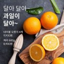 달아달아과일