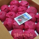 버들골농장 이미지